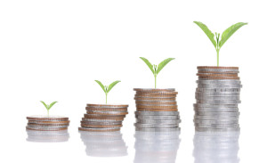 Plant growing out of coins , isolated on white background