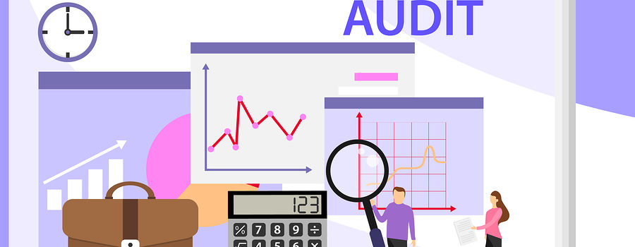 small business audit