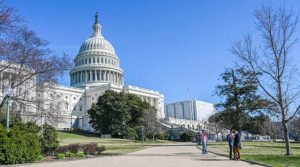 third stimulus plan small businesses