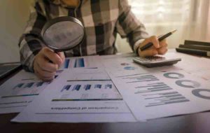 professional audit