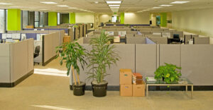 small business commercial real estate rent buy