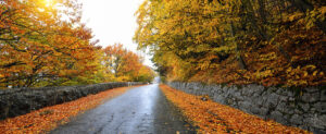 fall financial checkup
