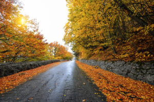 fall financial checkup