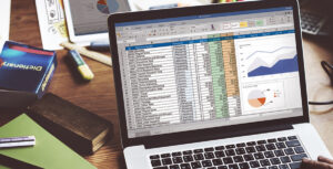 a person looks at a transaction spreadsheet on their computer.